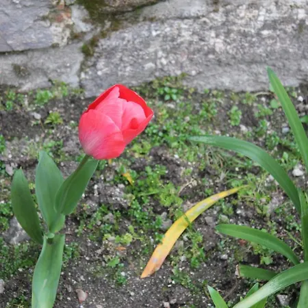 Prázdninový dům Casa De Requeixo Póvoa de Lanhoso