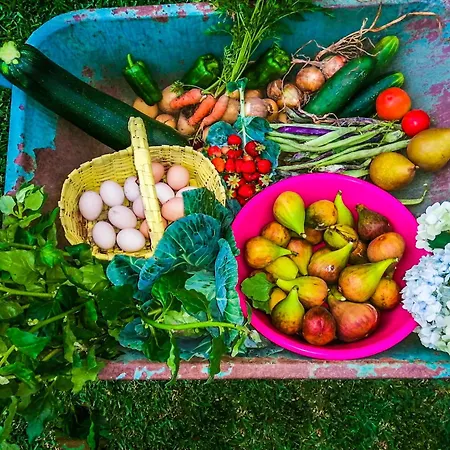 Casa De Requeixo Hébergement de vacances Póvoa de Lanhoso