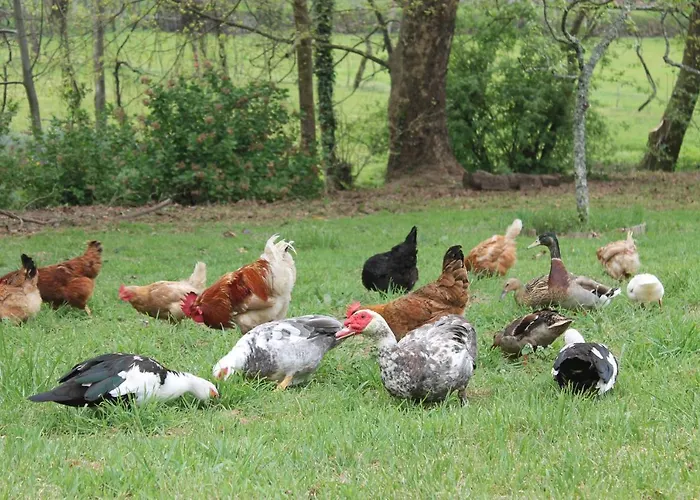 卡萨德瑞奎欧旅馆 * 波瓦德兰赫索