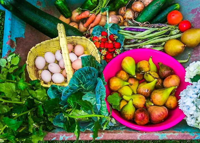 Casa De Requeixo Nyaraló Póvoa de Lanhoso